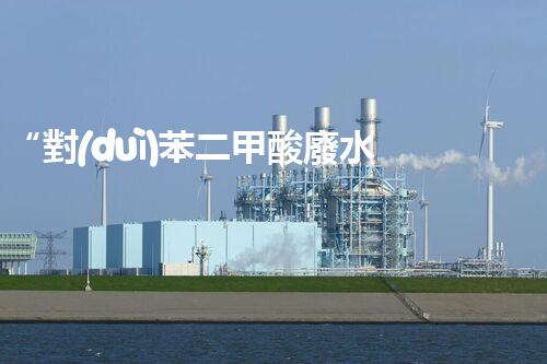 “對(duì)苯二甲酸廢水處理，綠色創(chuàng)新引領(lǐng)環(huán)保新篇章”